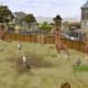 Wildlife Park 2 Gameplay