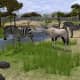 Wildlife Park 2 Gameplay