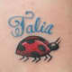 ladybug-tattoos-and-meanings-ladybug-tattoo-designs-and-ideas