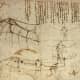 Aerodynamics. His desire to fly showed through from his numerous detailed drawings of birds and bats flying. He even includes plans that would allow for humans to fly...and they actually work!