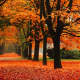 New Orleans, Louisiana in Fall Top Cities in America for Fall Traveling