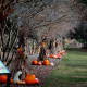 Annual Autumn Gardenfest in Savannah, Georgia Top Cities in America for Fall Traveling