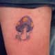 mushroom-tattoos-and-designs-mushroom-tattoo-meanings-and-ideas-mushroom-tattoo-gallery