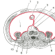 Horizontal disposition of the peritoneum in the lower part of the abdomen. 3. mesentery