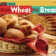 From Wheat to Bread (Start to Finish, Second Series: Food) by Stacy Taus-Bolstad
