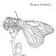 monarch coloring page