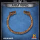 The Arm ring is an oath to the Jarl (or earl)