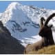 bharmour-a-town-of-gods