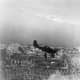 Stuka or Junkers Ju 87 dive bomber hitting strong points in the city of Stalingrad summer of 1942.