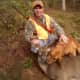 Hunting With Bloodhound