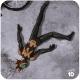 Mumen Rider defeated