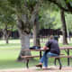 Places to picnic, study, or commune with nature