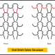 Knit Stitch Fabric Structure