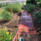 Front pathway and gardens, Murgon