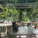 The Porch (featuring Chairman Meow)