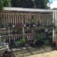 The fern house, Murgon