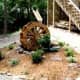 waterwheel