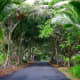 bigislandofhawaii-part4