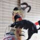 beijing-shadow-puppet-performance