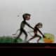 beijing-shadow-puppet-performance