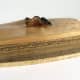 Figured bocote, maple, sculpted