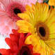 your-wedding-flowers