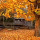 free-autumn-cross-stitch-patterns