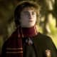 Harry Potter Scarf