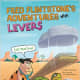 Fred Flintstone's Adventures with Levers (Flintstones Explain Simple Machines) by Mark Weakland
