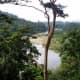 Primary rainforest in Borneo