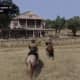 Red Dead Redemption Gameplay