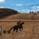Gun Gameplay