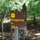 Sign directing us to Petroglyphs Provincial Park.