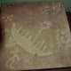 Cast of petroglyphs in Learning Centre, Petroglyphs Provincial Park, Woodview, Ontario, Canada