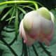 The variety of flower is incredible - truly a stunning garden.