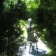 As you wander through the gardens you'll come across many hidden sculptures.