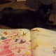 Yancy decided to read with me.