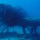 military-warship-tank-airplane-graveyard-under-the-sea-sunken-wwii-hardware