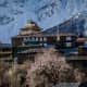Houses at Kalpa