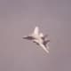 An F-14 in flight.