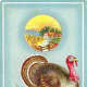 Free vintage Thanksgiving postcards: Turkey