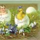 Baby and yellow baby chick in broken Easter eggs