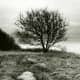 haunted-star-island-new-hampshire