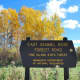 Forestry roads provide some great fall color tours.