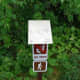 Oberholtzer Trail at Rainy Lake Visitor Center