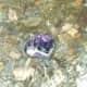 Crystal in the waters of St Nectan's kieve
