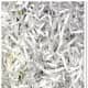 Shredded Paper Bedding