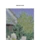free-cross-stitch-pattern-windmill-with-tulips