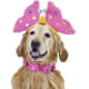 Pet Butterfly Dog Halloween Costume For Large Dogs