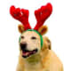 HOLIDAY REINDEER ANTLERS LARGE 10"W X 12"L